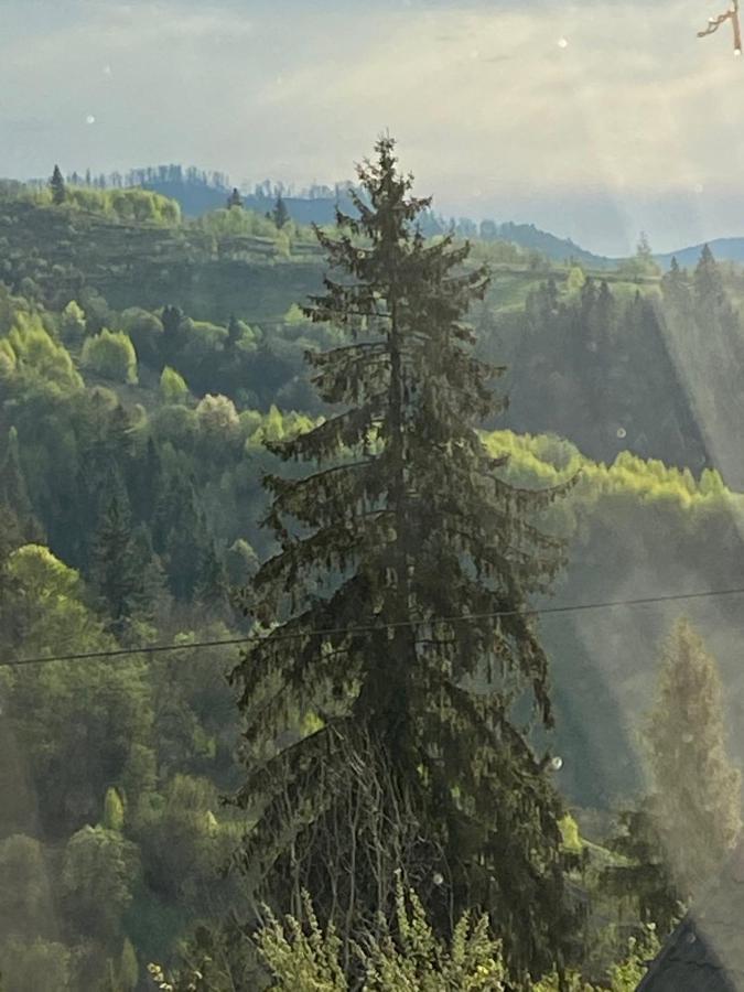 Шале Карпатська Казка Slavske Εξωτερικό φωτογραφία